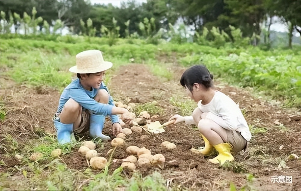 wow童梦,wow游乐场