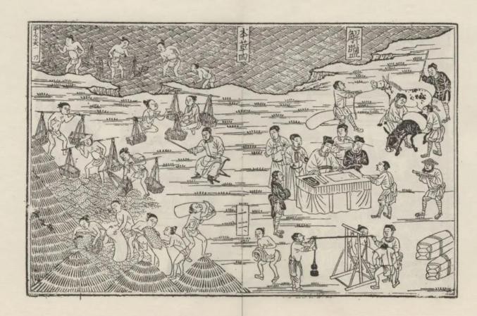 为什么古代的盐非常重要,古代盐那么贵为什么不烧海水