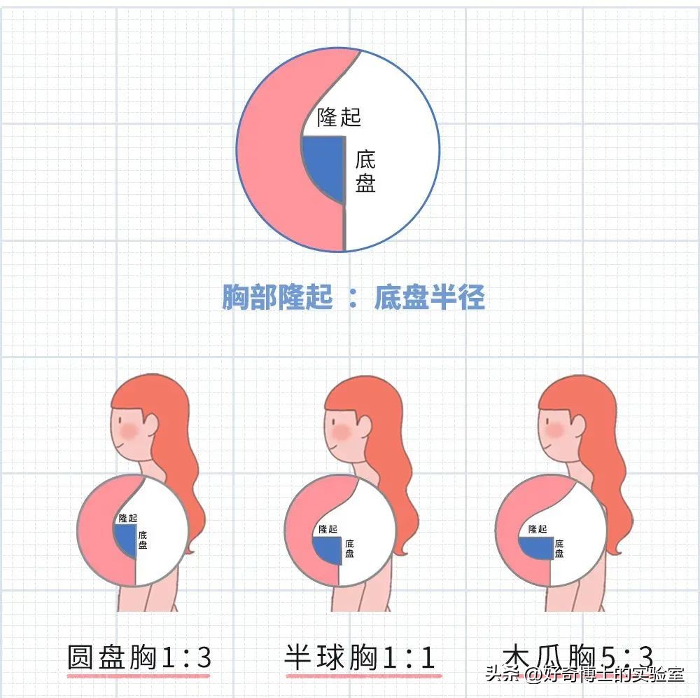 这些胸部小知识，建议男生都替女朋友看看