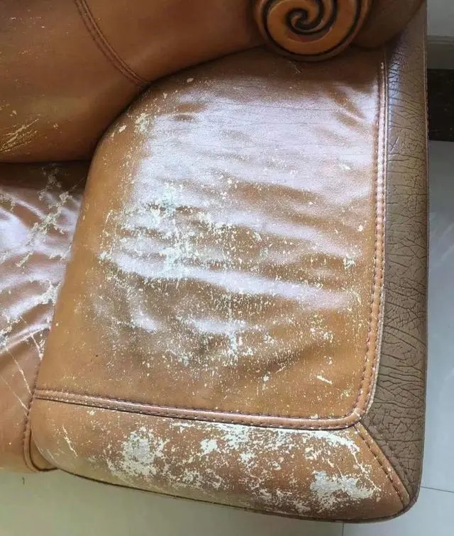 各种款式沙发的优缺点对比,各种沙发的优缺点对比