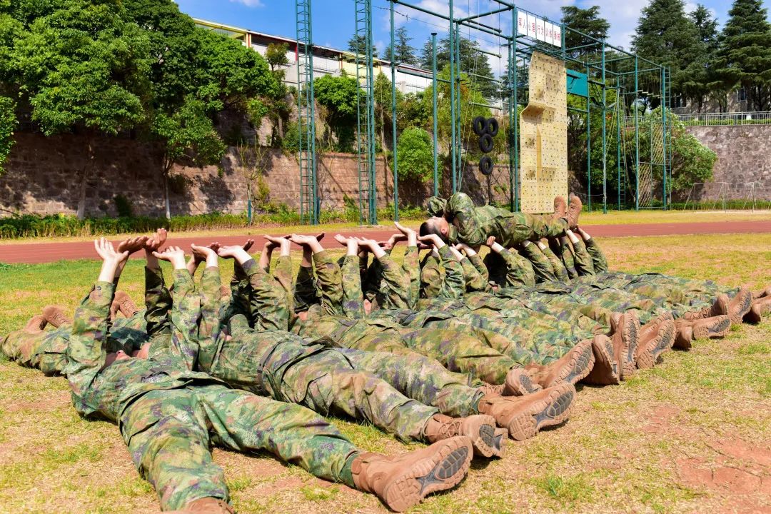 信任背摔保护人手势,信任背摔视频