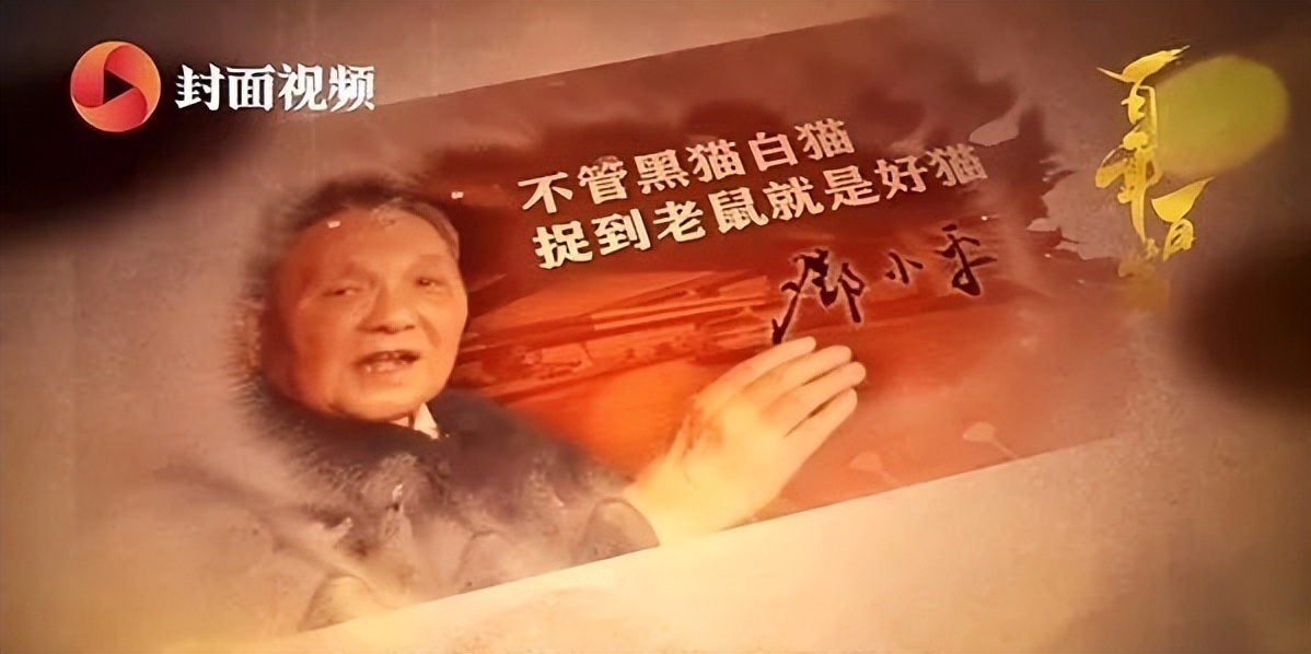 黑猫白猫捉住老鼠才是好猫,黄猫白猫能抓到老鼠就是好猫