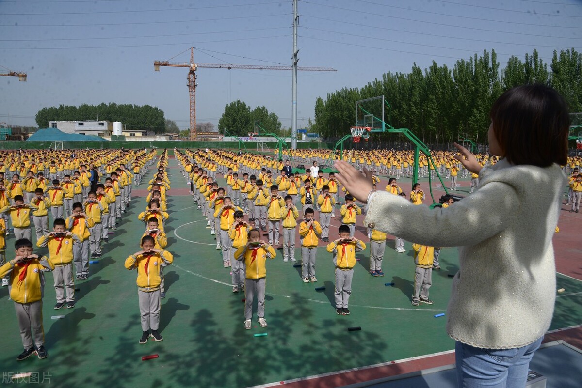 4所独立学院就业前景,16所独立学院转设成公立学院