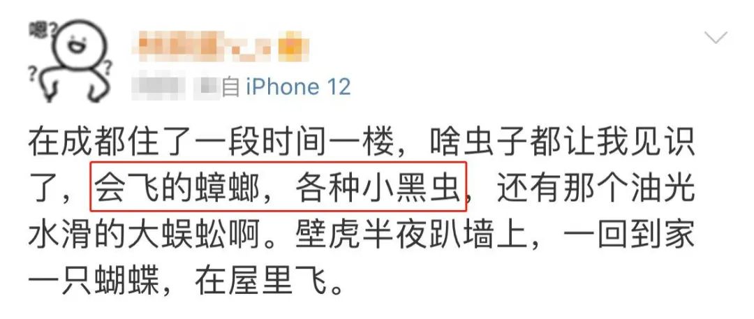 租房找一楼是不是不太好,租房到最高层的弊端