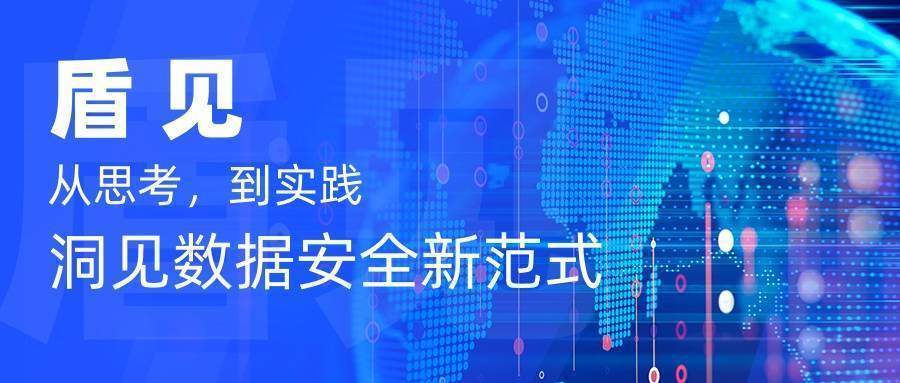 审计网络安全和信息化建设,信息安全专项审计