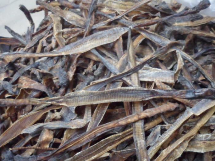 野生蚯蚓利益链从未终断？广东再现电蚯蚓，暴利下隐藏着什么危机