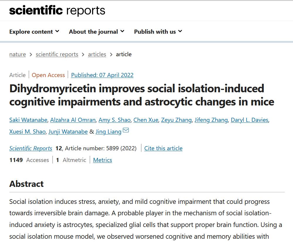 亲密关系，是降低老年痴呆风险的一剂良药