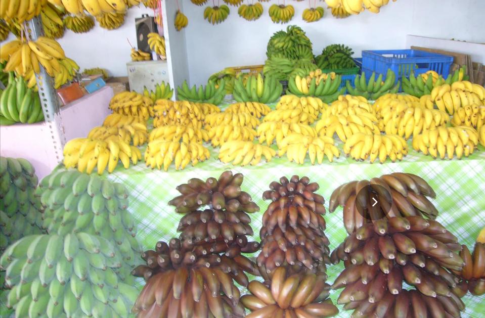 到台湾玩的说说,去台湾旅游回来的感受