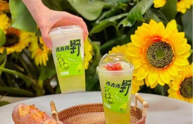 乐凯撒现状,乐凯撒创业视频