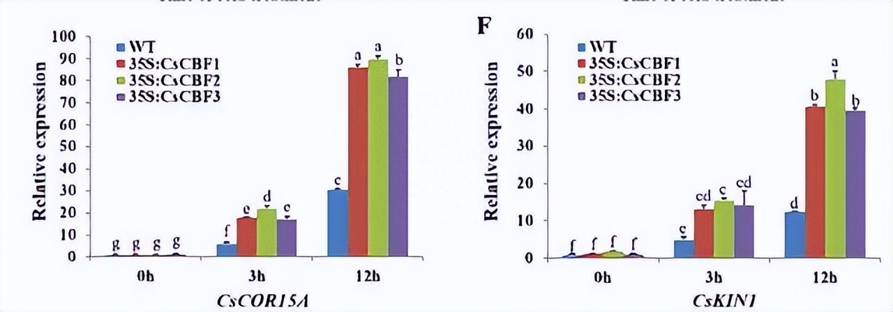 如何使用EOSM290机器，在不同加工条件中，制造出极端形状的薄壁