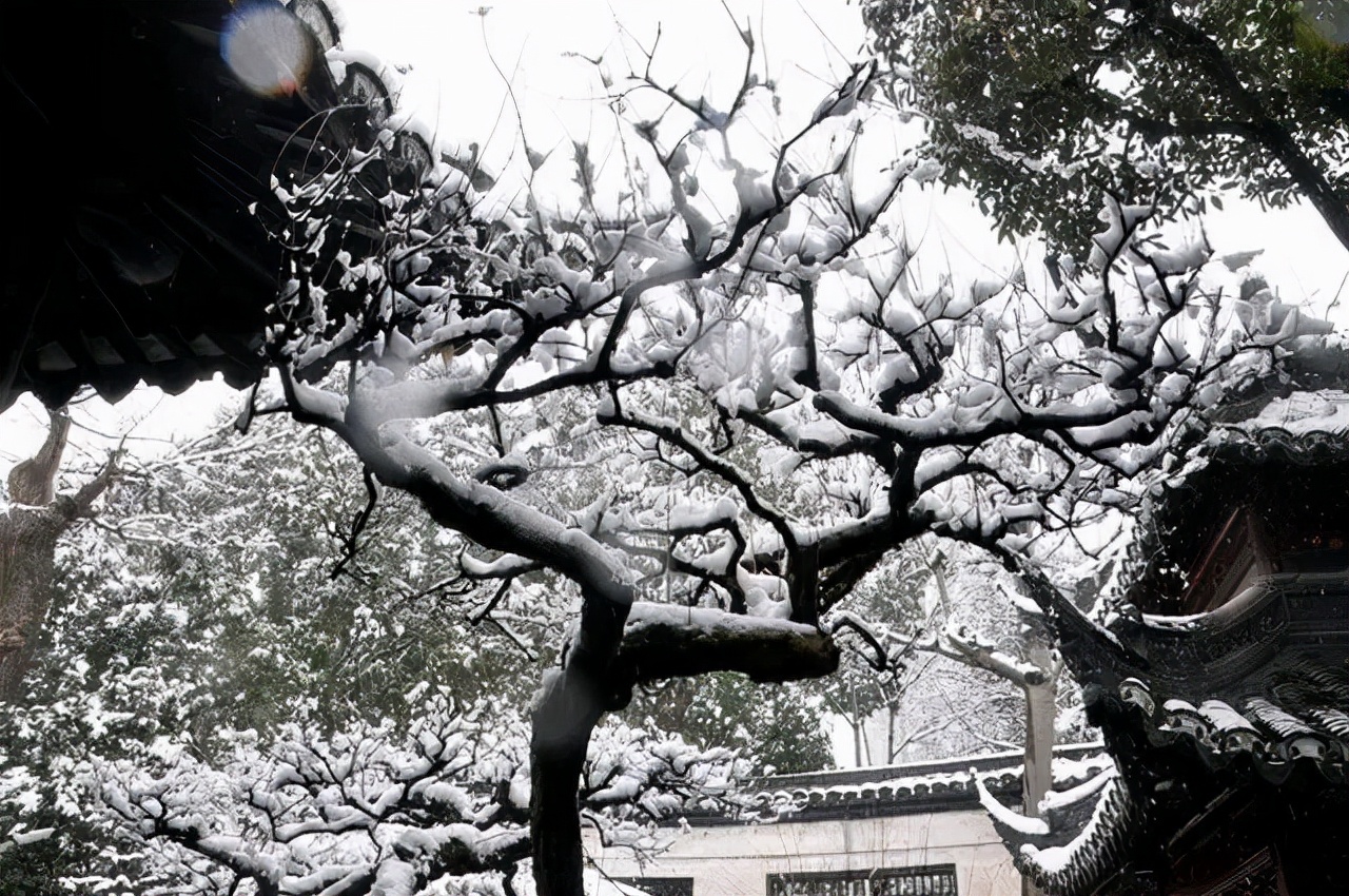 这九句诗词写尽每个人的世事沧桑,关于雪的七绝诗