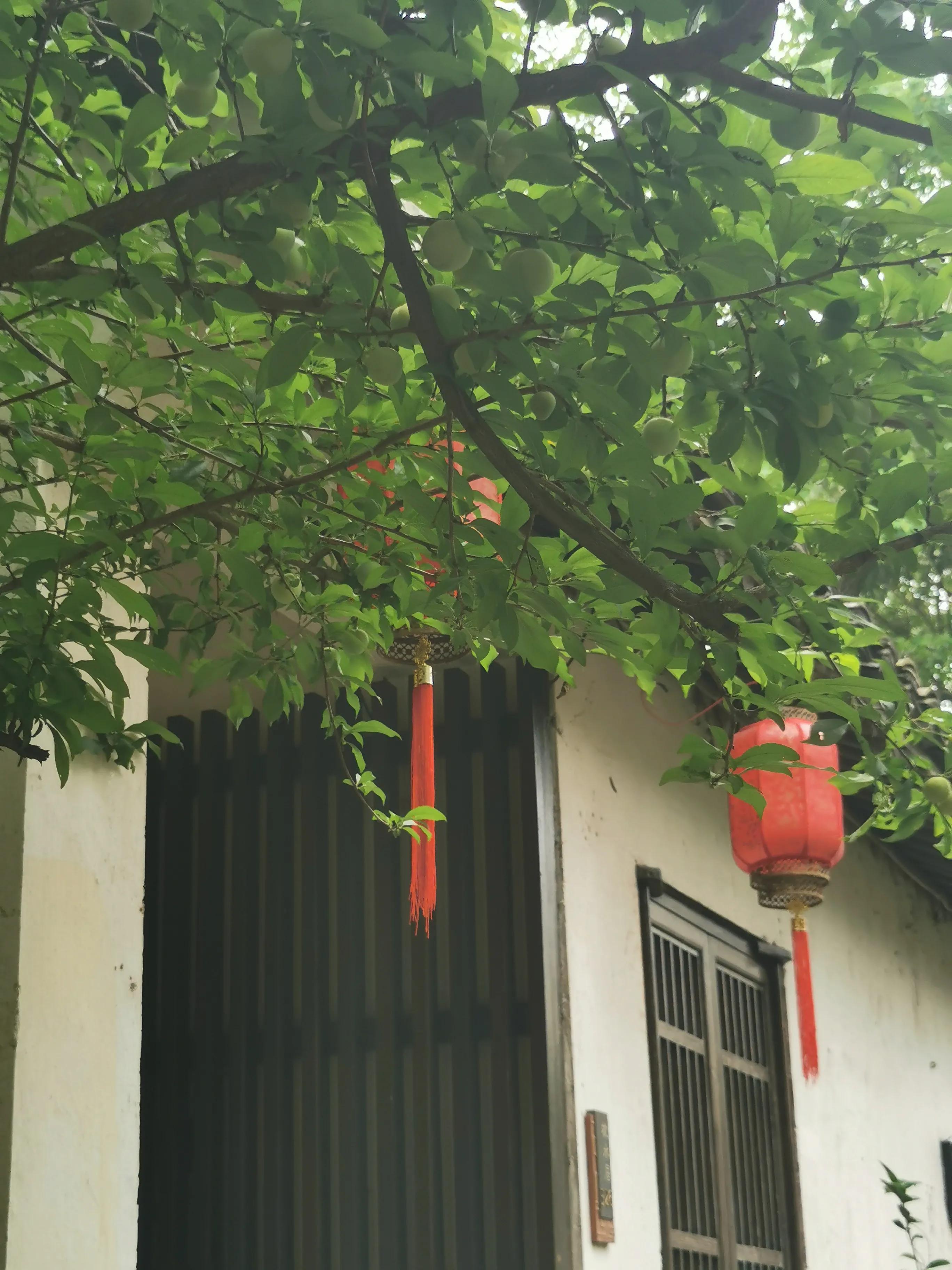 绍兴十大顶级酒店,绍兴值得推荐的酒店