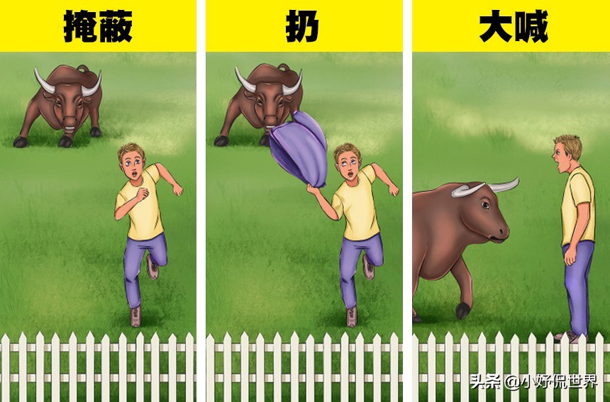 盘点8种面对动物的生存技巧,救命小技巧