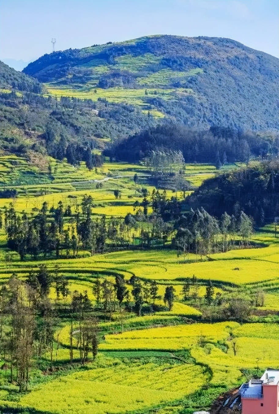 剑南春性价比之王,剑南春酒质值得买吗