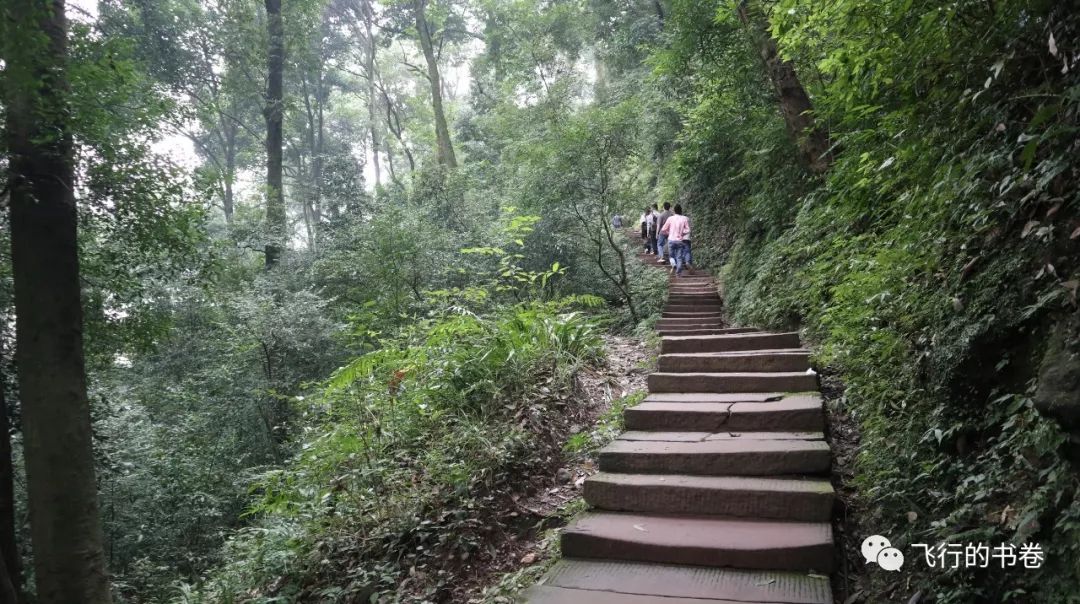 道教四大仙山你爬过几座,青城山为什么被称作道教第一山