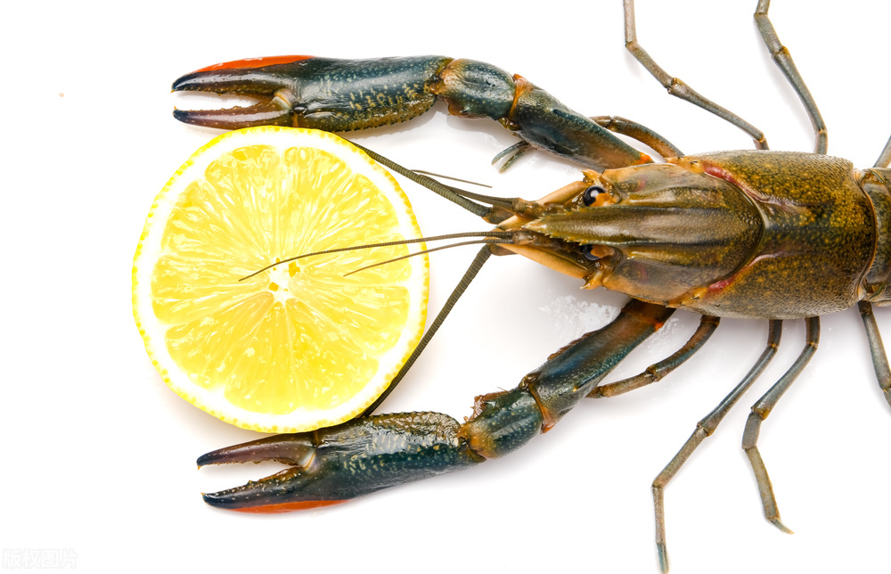 男子恶意差评索退款,男子恶意差评获刑