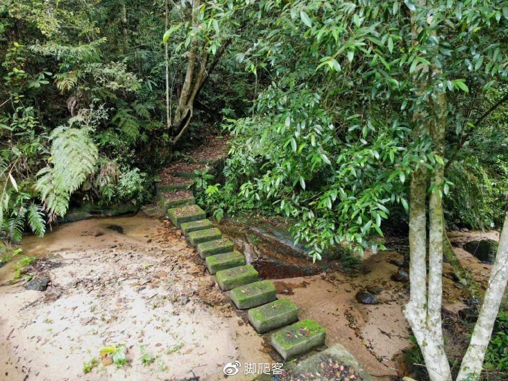 封开黑石顶自然保护区今日关注,广东封开黑石顶省级自然保护区