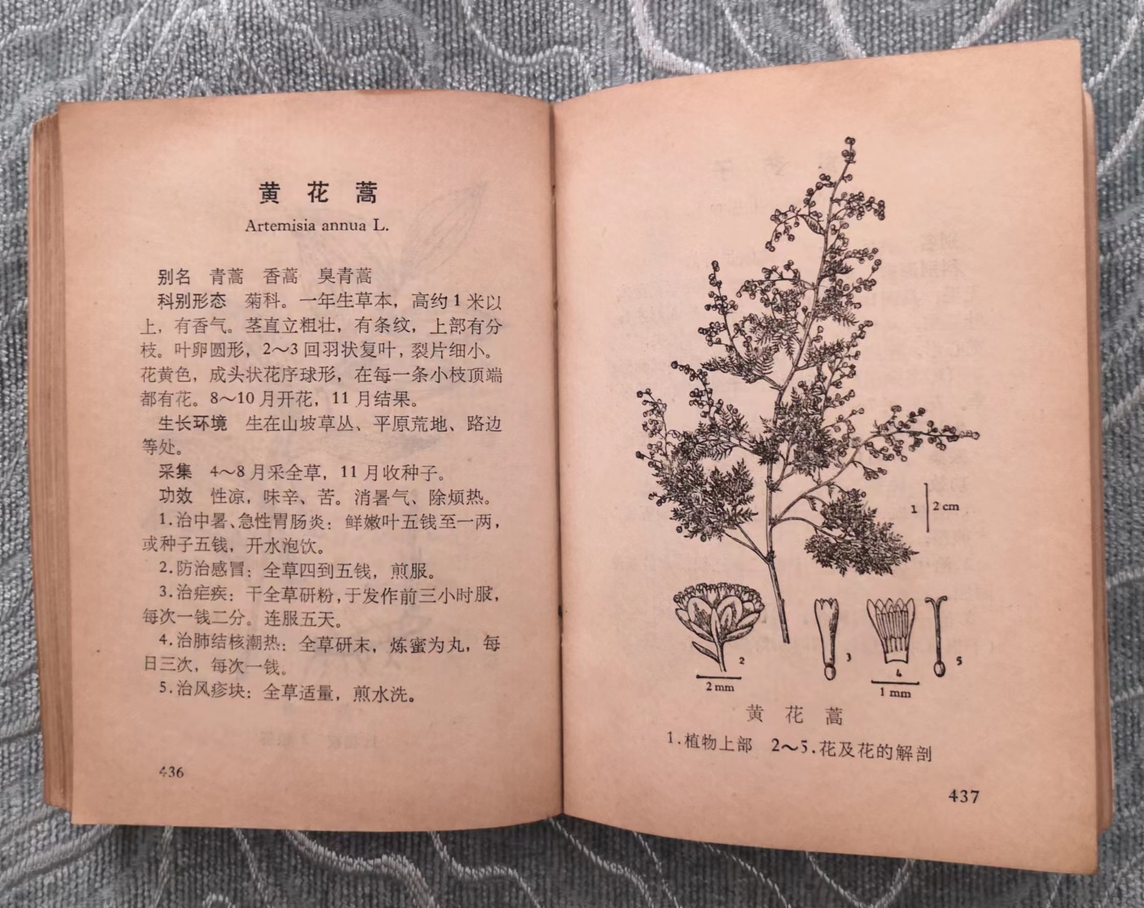 屠呦呦在四川找抗疟疾方子,屠呦呦关于青蒿素的文章