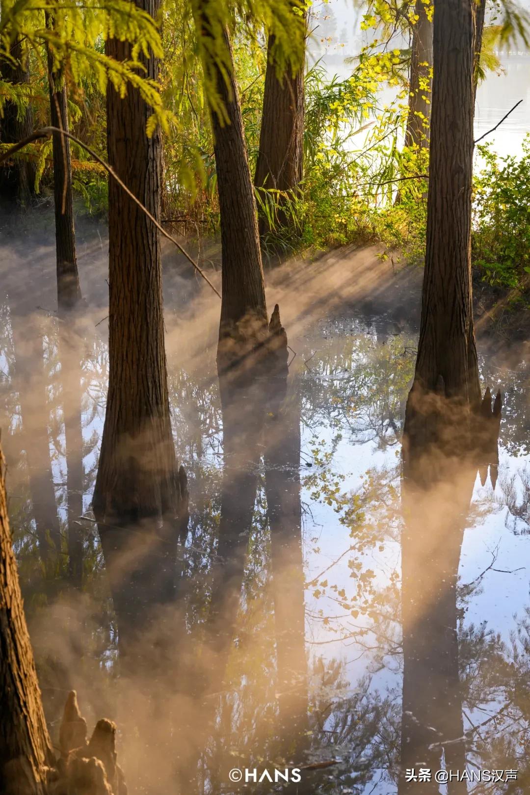 武汉有重磅喜讯传来,武汉最新重磅利好