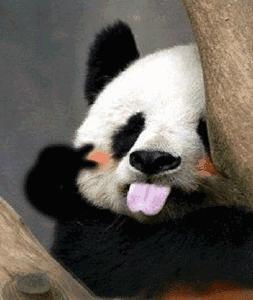 35周产检已经花了4000,30周往后的孕检