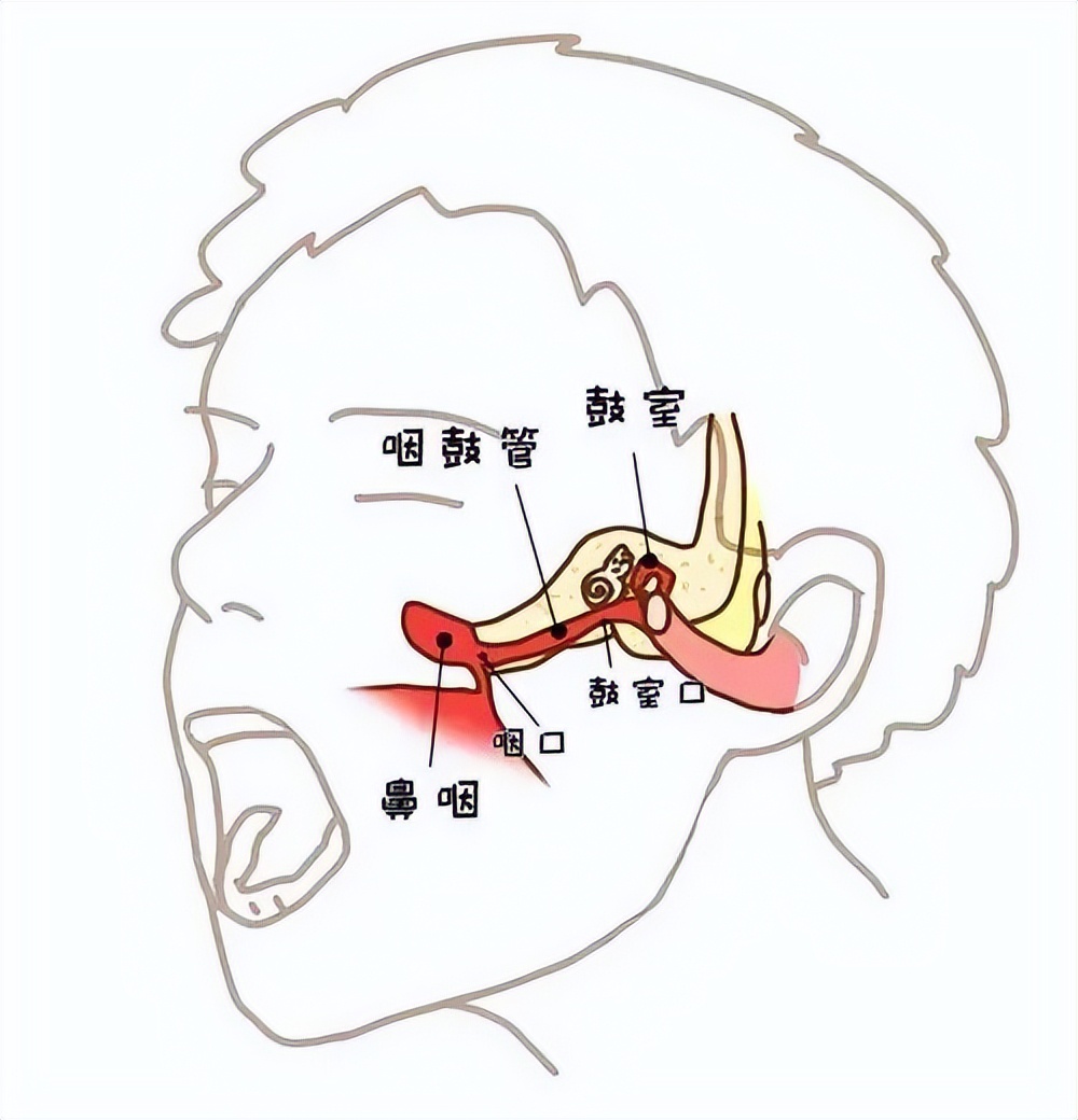 擤鼻涕太用力会导致耳膜破裂？