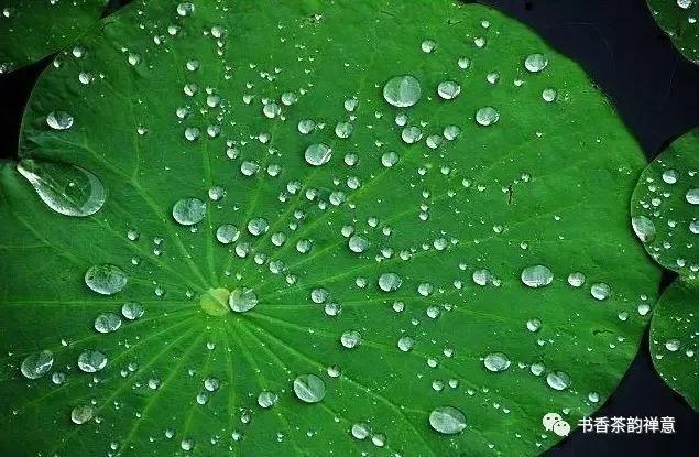 雨天喝茶去哪里,雨天周末喝茶