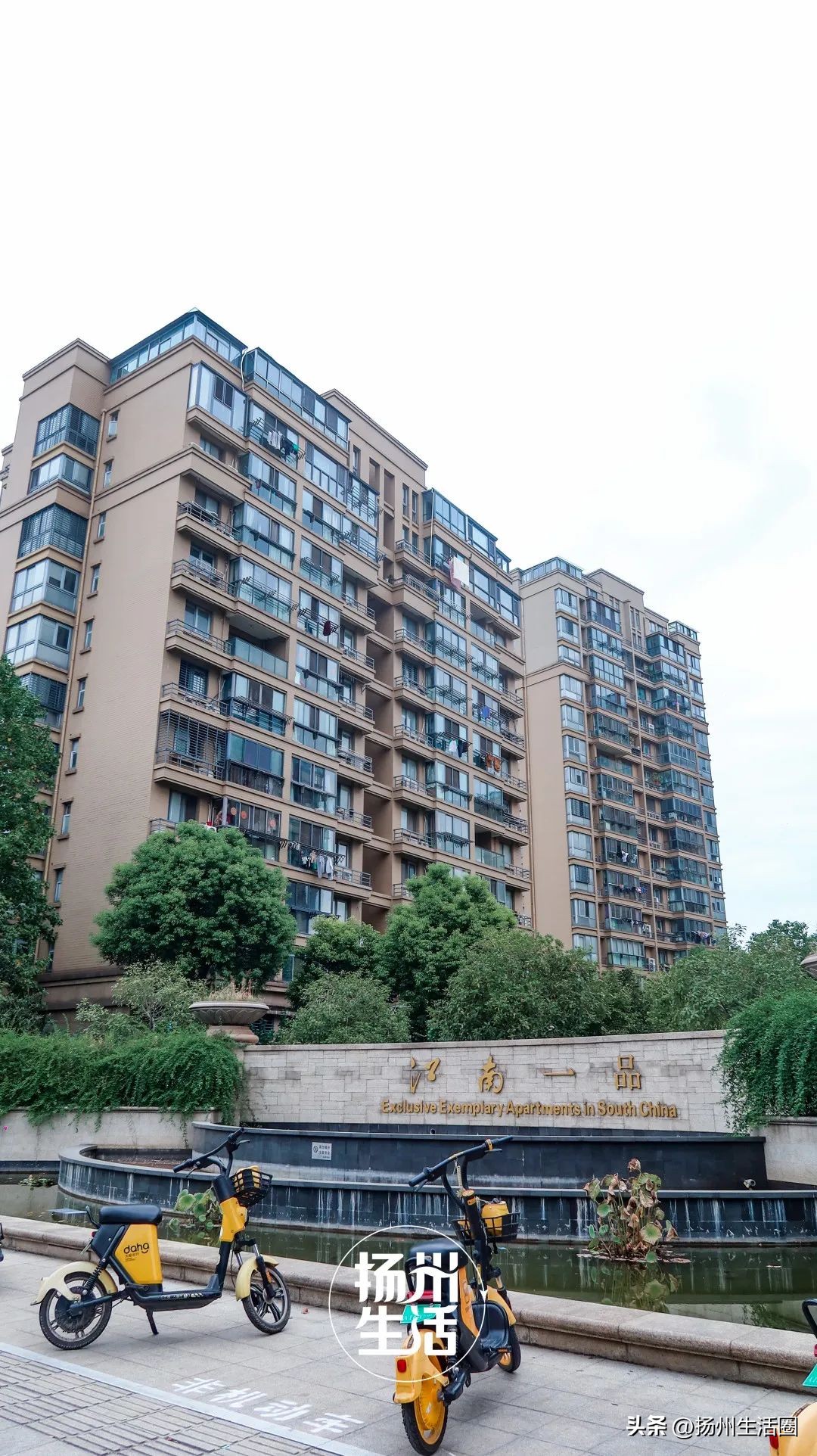 东区内卷之王，观潮路