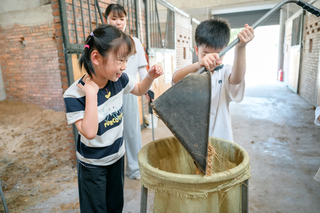 马儿和人互动安全视频,马儿玩耍注意事项