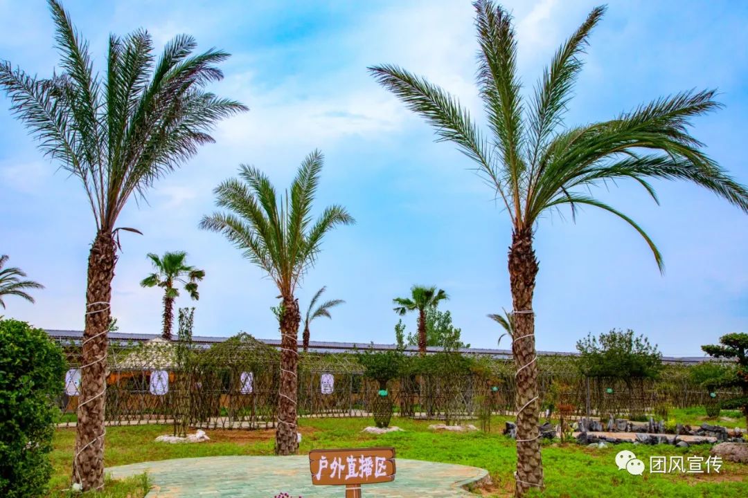 奏响新时代乡村振兴交响曲,团风县乡村振兴局项目公示