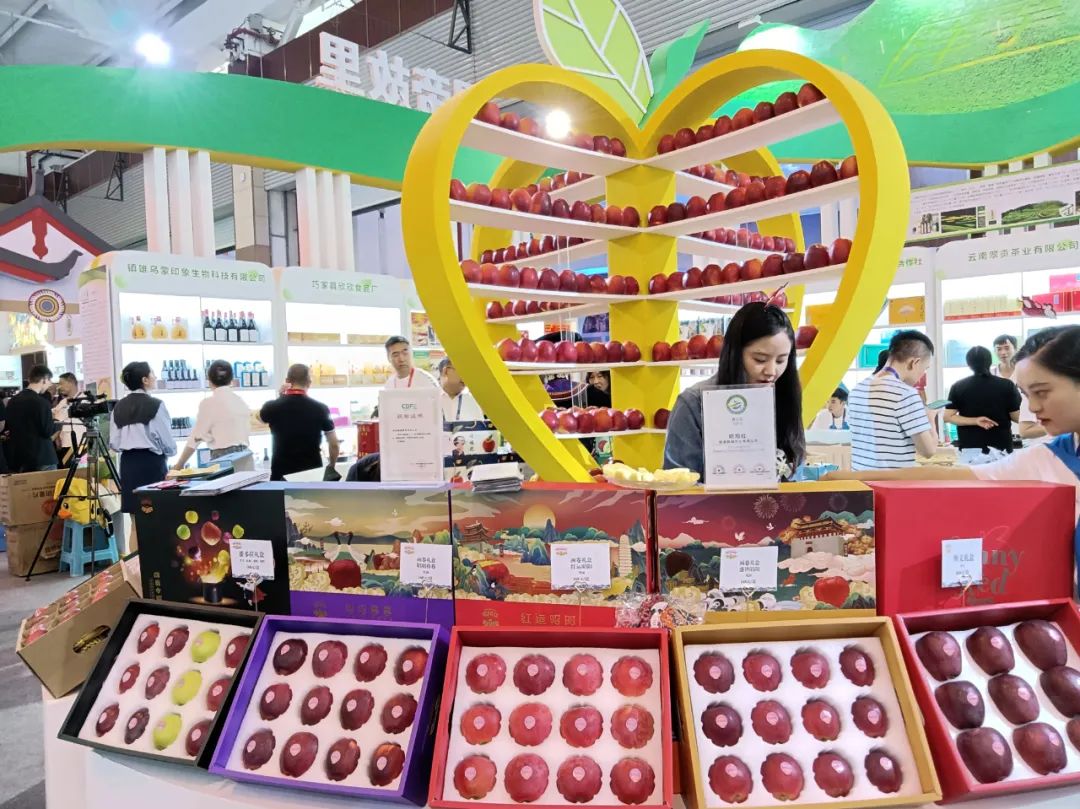 云南的南博会,云南南博会是做什么