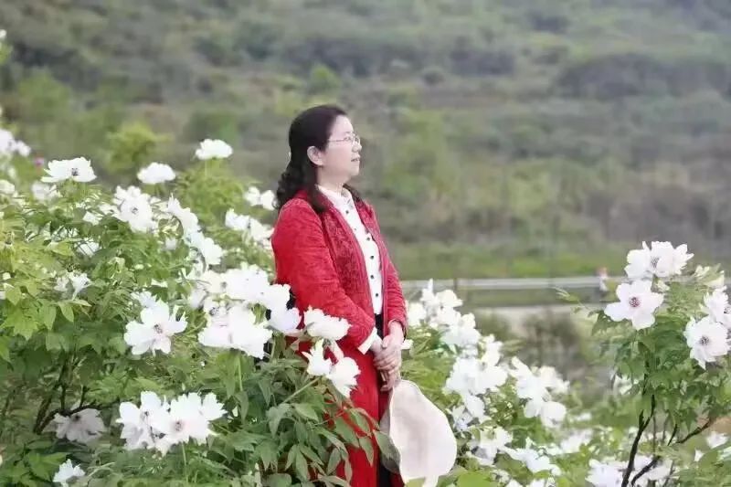 中国诗词大会2023,诗词大会最美的词