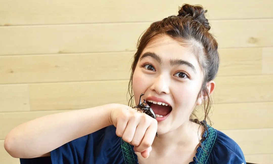 独角仙鹿角虫,鹿角虫和独角仙有什么区别