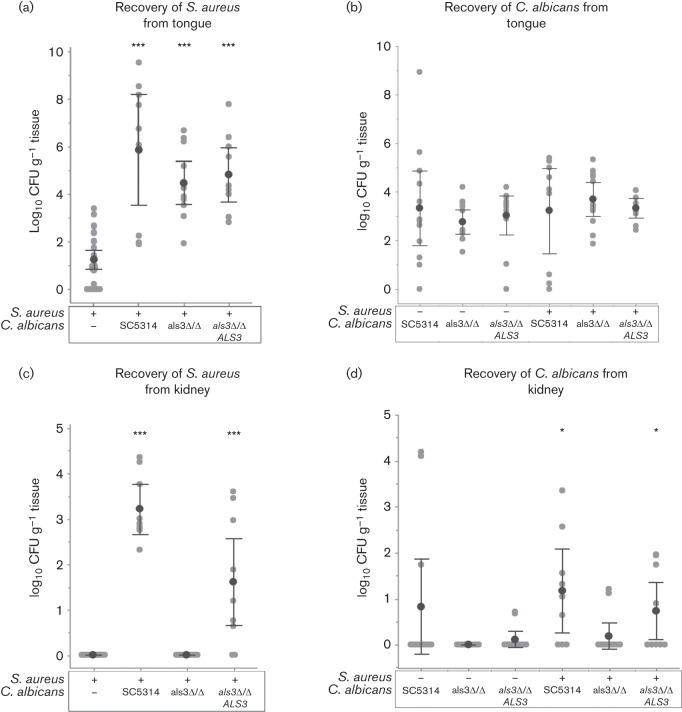 金黄色葡萄球菌的微生物特性,金黄色葡萄球菌的培养特性
