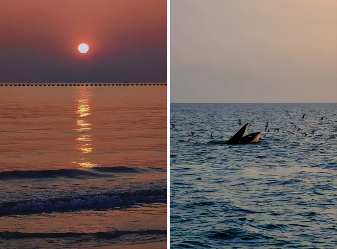 阳康以后多久可以去旅游,阳康以后能出去旅游吗