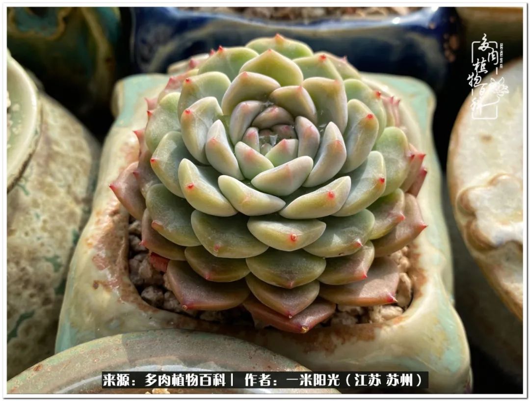 幸福就是珍惜当下所拥有的,珍惜当下所拥有的才是幸福的