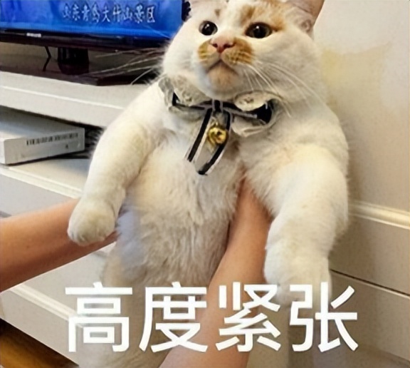 原神慌不慌？网易首款开放世界游戏，预*载下**连抖音、微信都打败了