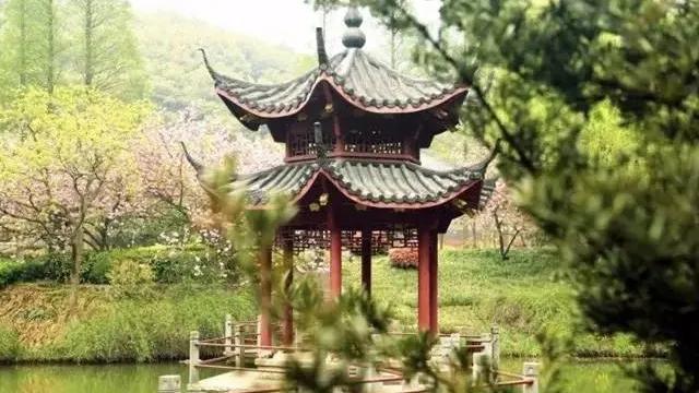 折柳送别古诗词,古诗词送别朗诵