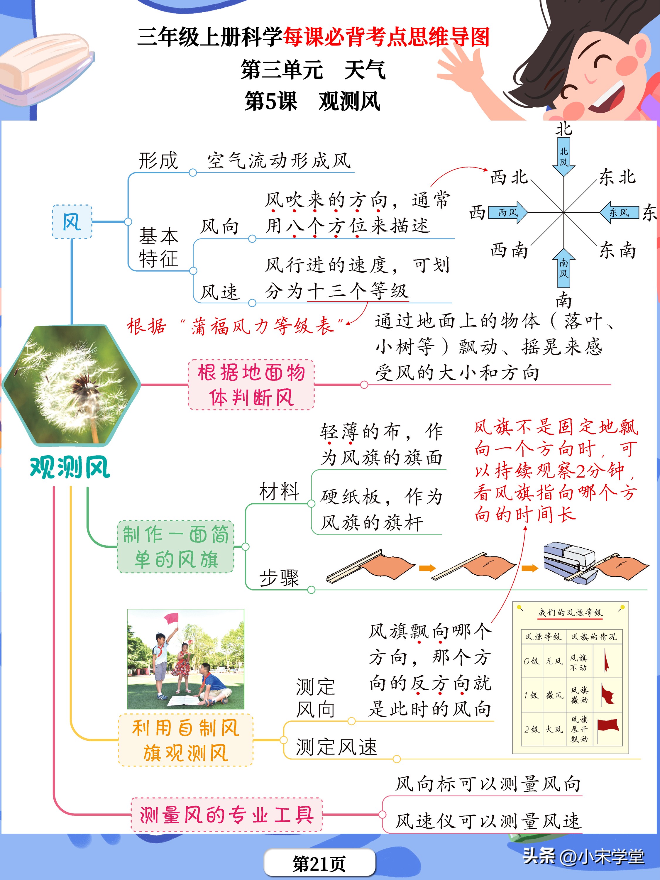 三年级科学书所有重点的思维导图,科学三年级上册知识点思维导图