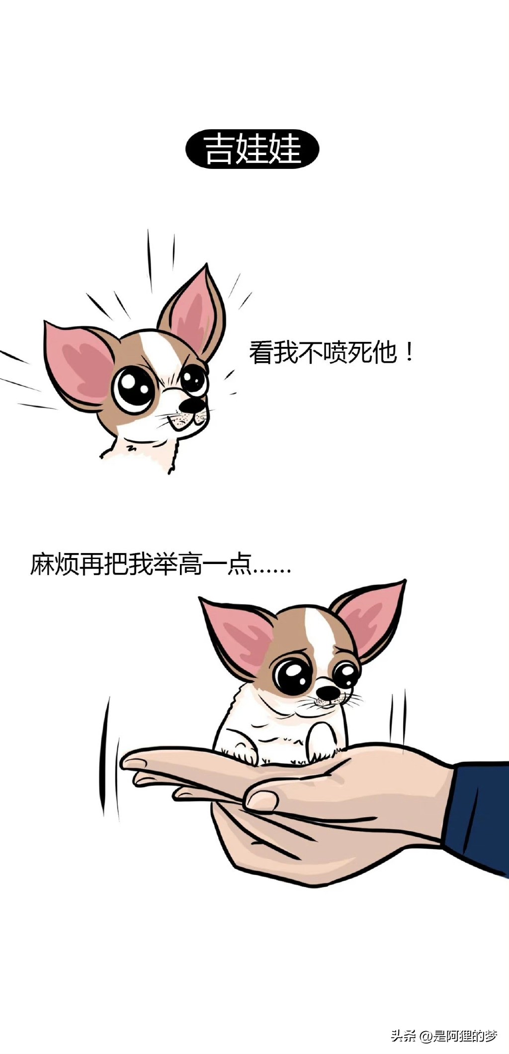 土狗这么聪明为什么不能当警犬,狗狗界最聪明的狗