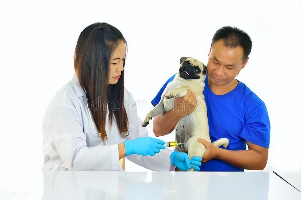 8岁男孩被狗抓伤染上狂犬病死亡,男孩被狗抓伤患狂犬病20天后去世