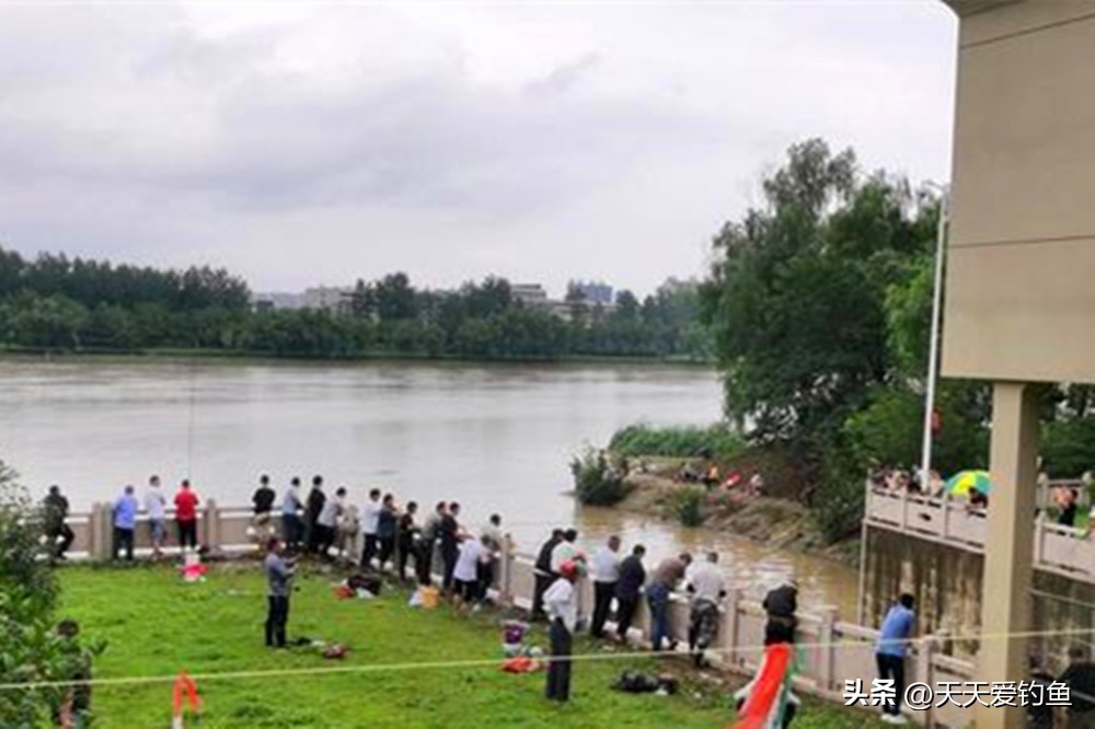 盛夏野钓，找准鱼窝有技巧，3个条件满足2条，一定有大鱼扎堆