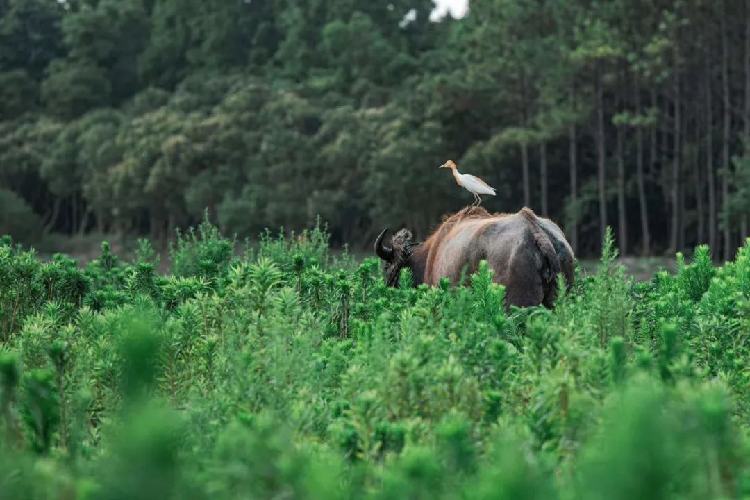 25年最挣钱的行业,25年自行车市场