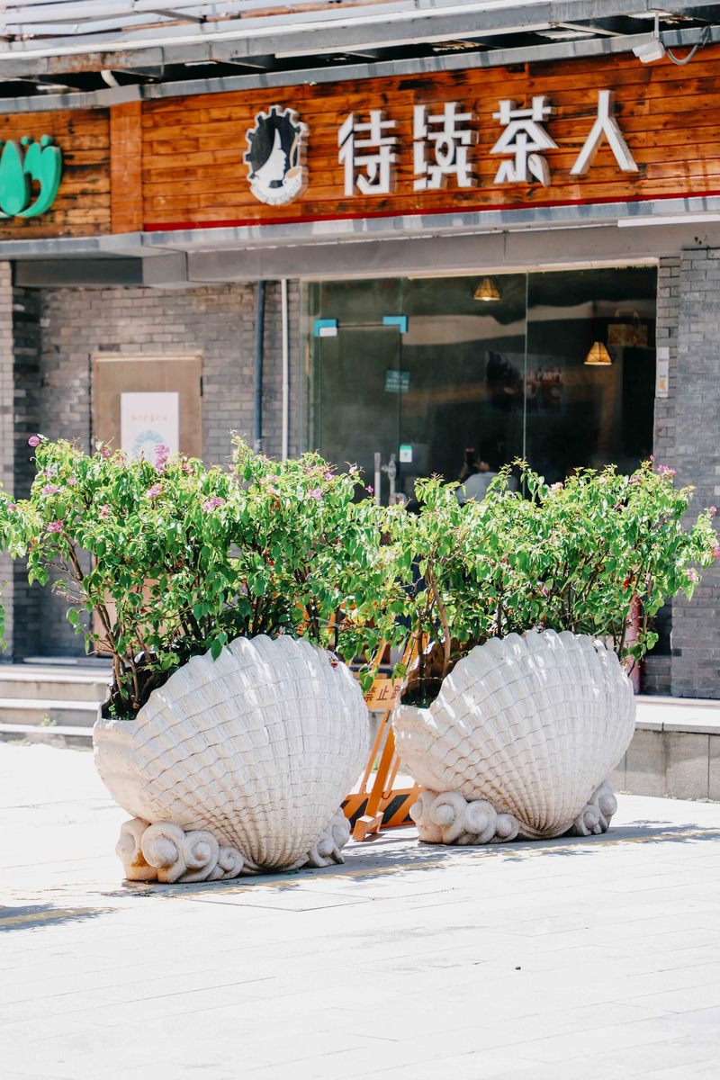 深圳市蛇口攻略,深圳海岛蛇口