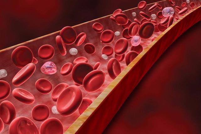 到底哪些人不适合吃三七粉,三七粉虽然好但是六类人不能喝