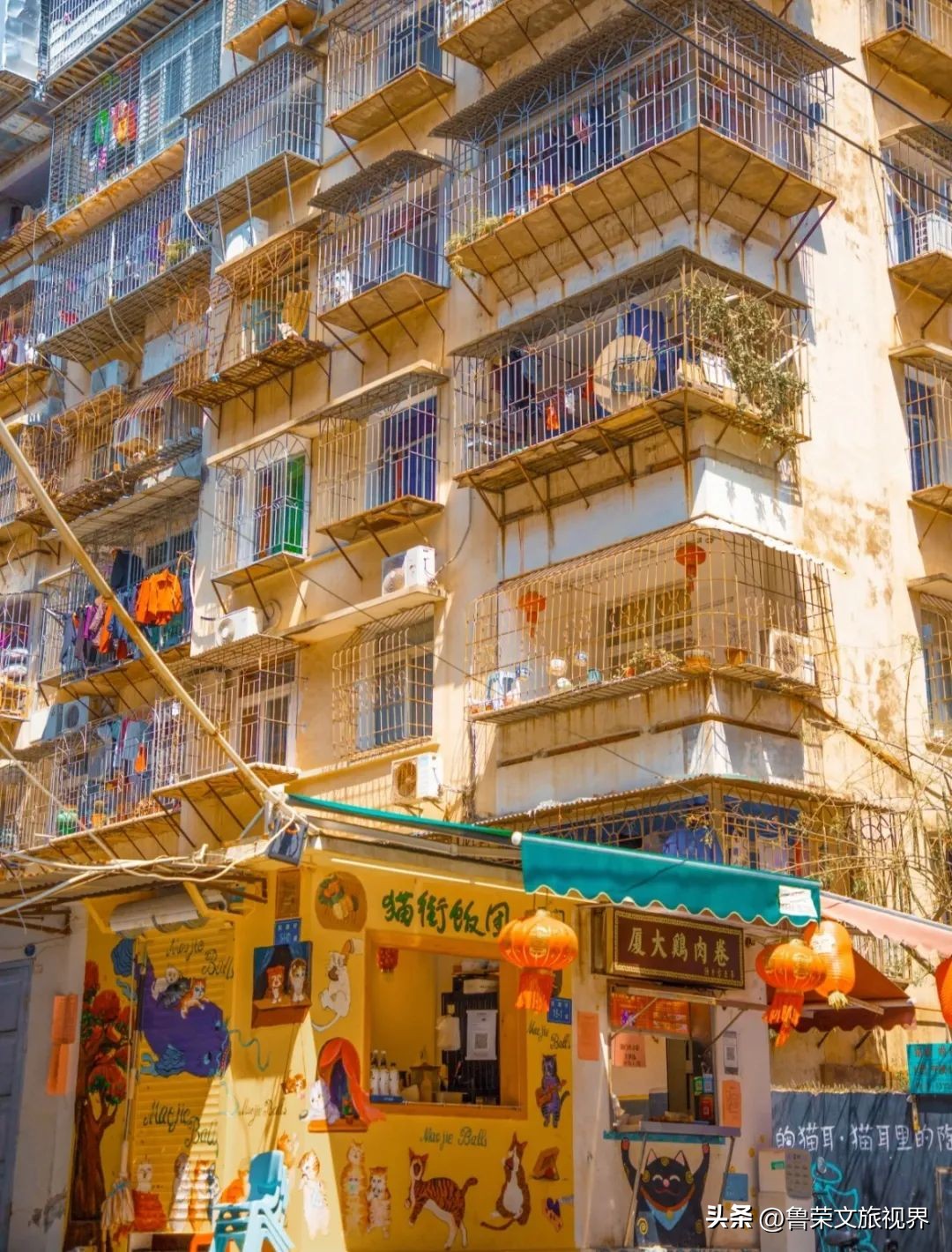 厦门橘子海,去厦门想看海住在哪里合适