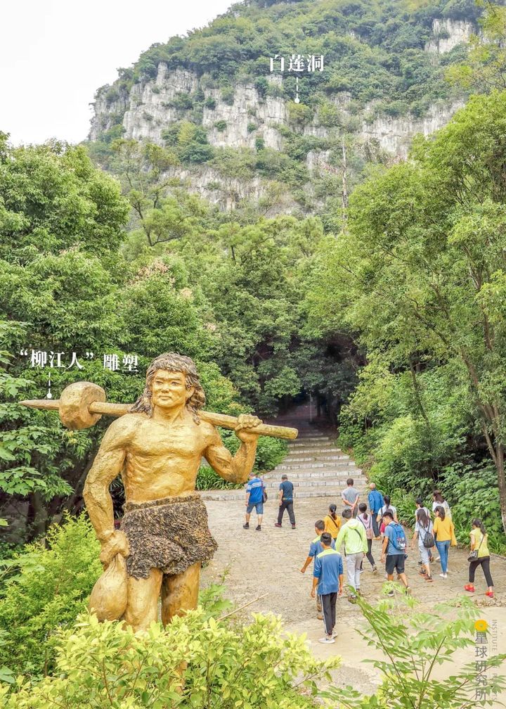 天天柳州,嗨啤柳州