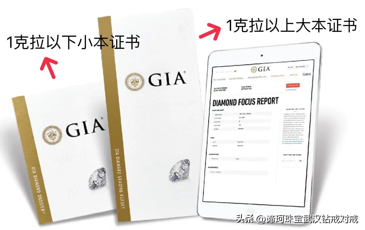 手把手告诉你gia证书怎么查询,gia证书讲解视频