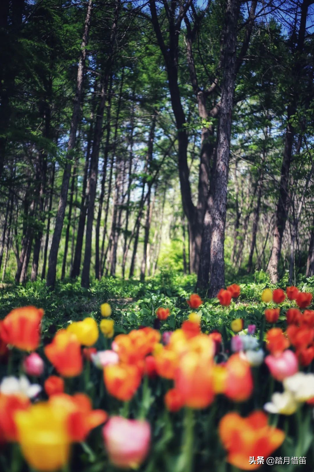 东北沈阳疫情最新通报,东北沈阳疫情