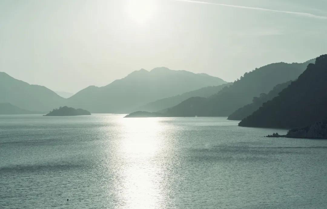 庄子哪一句名言告诉我们要真诚,庄子的一句名言形如枯木心如死灰