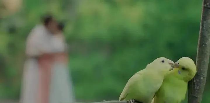 女星回应床戏尺度大：男女正常需求，一句“放松”让全场鼓掌